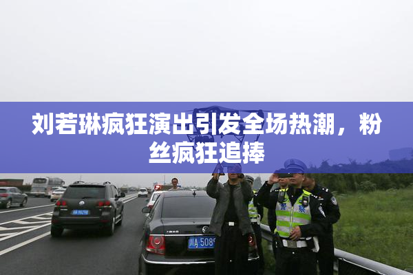刘若琳疯狂演出引发全场热潮，粉丝疯狂追捧