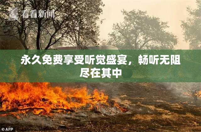 永久免费享受听觉盛宴，畅听无阻尽在其中