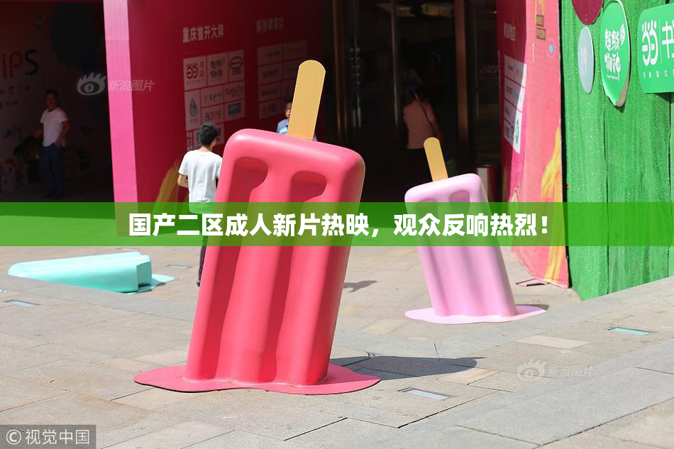 国产二区成人新片热映，观众反响热烈！