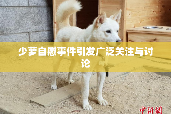 少萝自慰事件引发广泛关注与讨论
