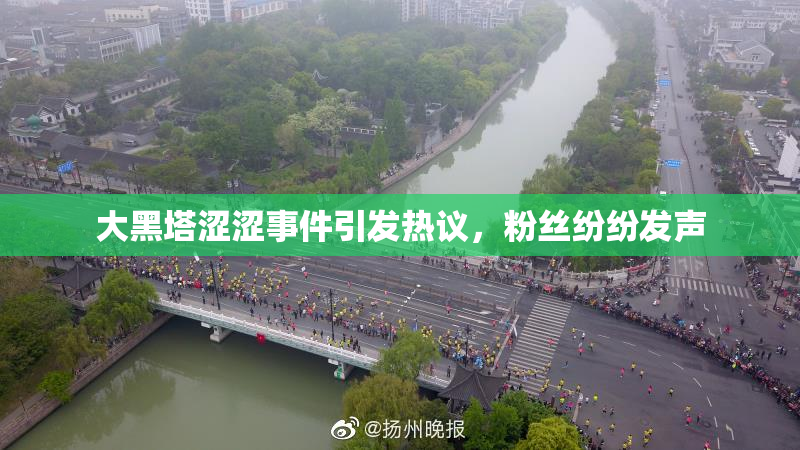 大黑塔涩涩事件引发热议，粉丝纷纷发声