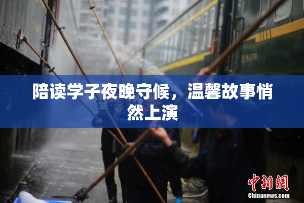 陪读学子夜晚守候，温馨故事悄然上演