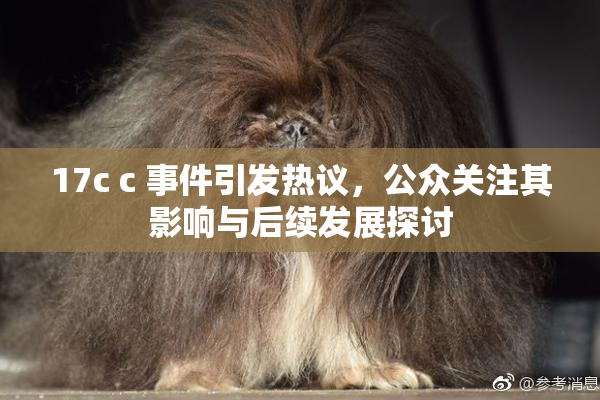17c c 事件引发热议，公众关注其影响与后续发展探讨