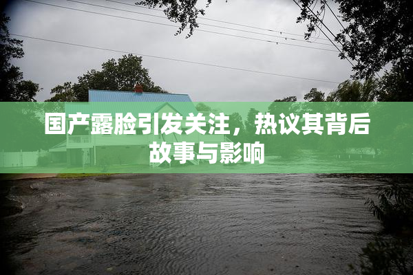 国产露脸引发关注，热议其背后故事与影响