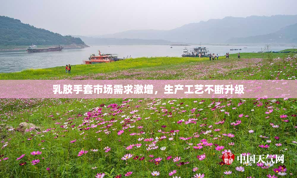 乳胶手套市场需求激增，生产工艺不断升级