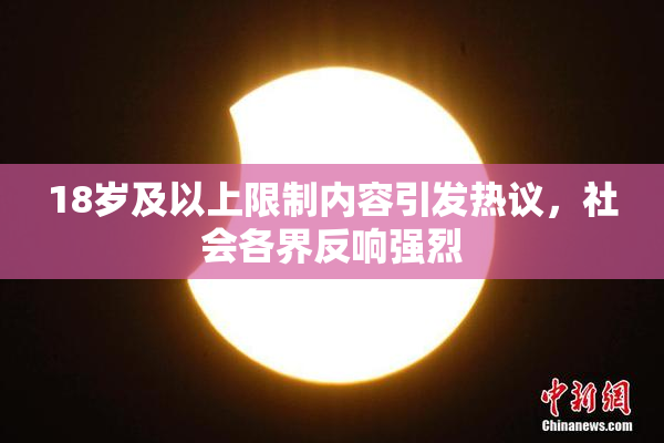 18岁及以上限制内容引发热议，社会各界反响强烈