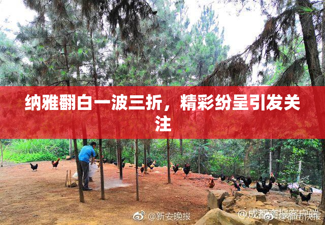 纳雅翻白一波三折，精彩纷呈引发关注