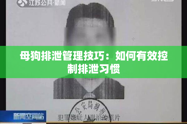 母狗排泄管理技巧：如何有效控制排泄习惯