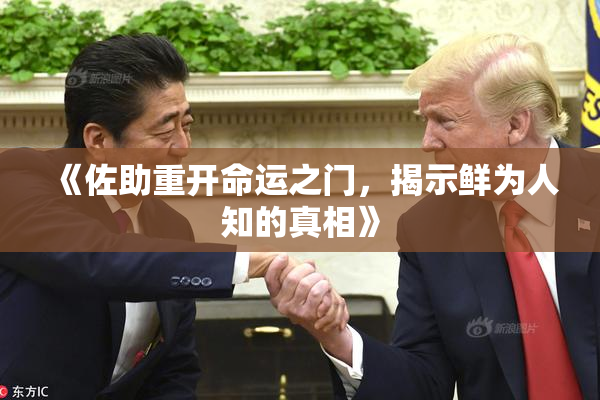 《佐助重开命运之门，揭示鲜为人知的真相》