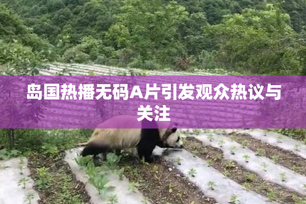 岛国热播无码A片引发观众热议与关注