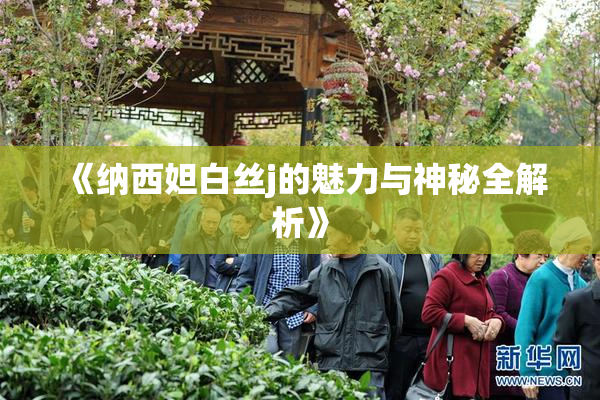 《纳西妲白丝j的魅力与神秘全解析》
