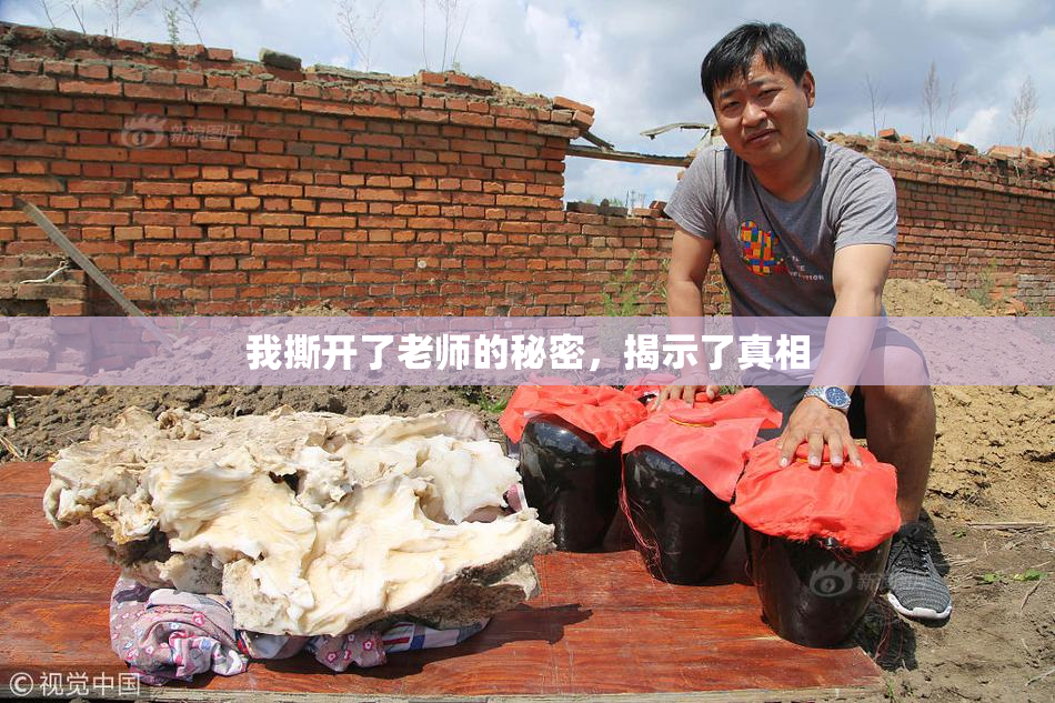 我撕开了老师的秘密，揭示了真相