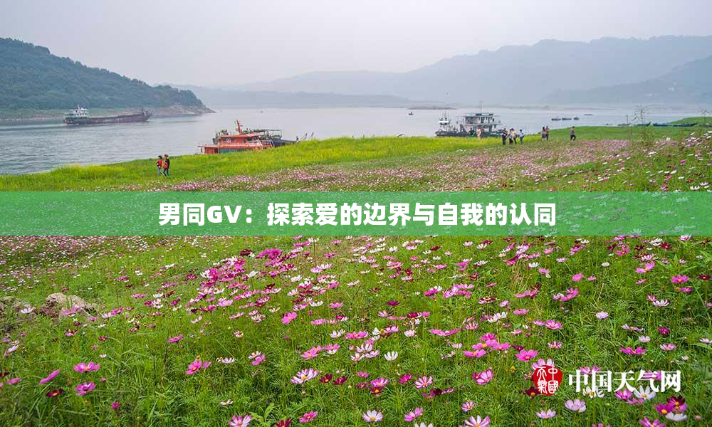 男同GV：探索爱的边界与自我的认同