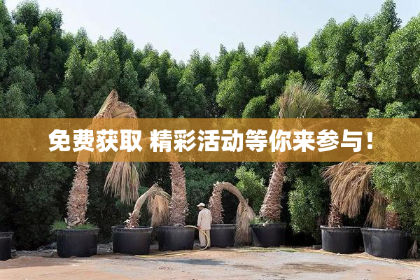 免费获取 精彩活动等你来参与！