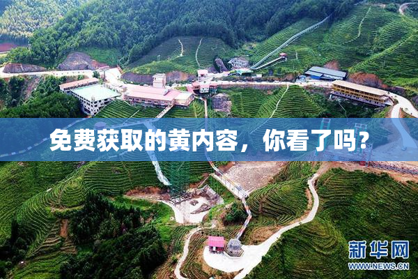 免费获取的黄内容，你看了吗？