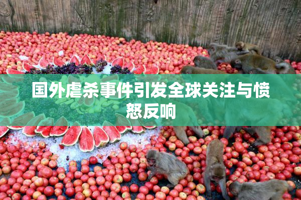 国外虐杀事件引发全球关注与愤怒反响