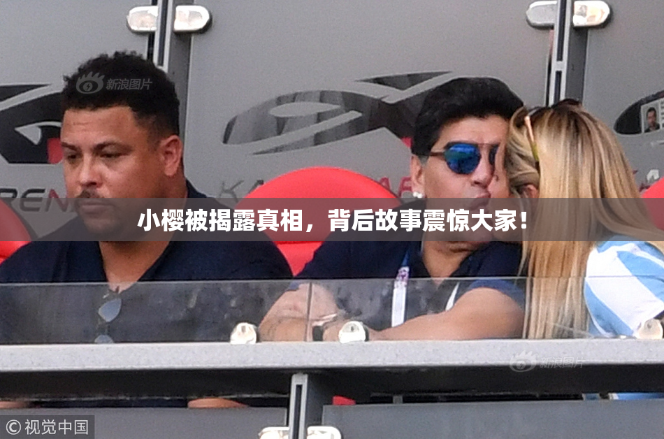小樱被揭露真相，背后故事震惊大家！