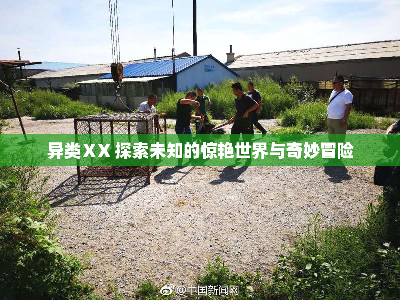 异类ⅩX 探索未知的惊艳世界与奇妙冒险