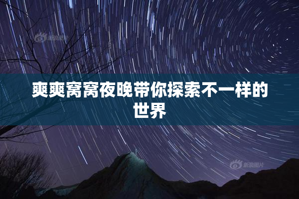 爽爽窝窝夜晚带你探索不一样的世界