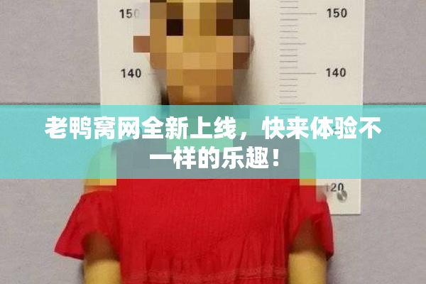 老鸭窝网全新上线，快来体验不一样的乐趣！