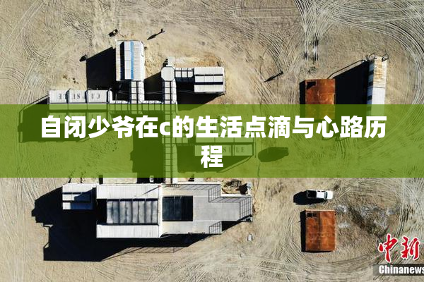 自闭少爷在c的生活点滴与心路历程