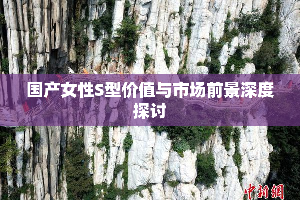国产女性S型价值与市场前景深度探讨