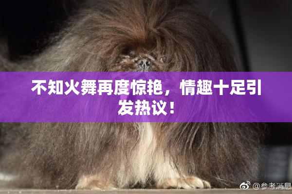 不知火舞再度惊艳，情趣十足引发热议！