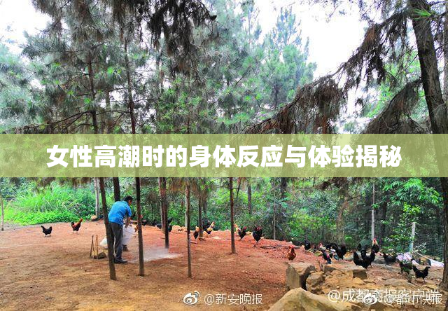女性高潮时的身体反应与体验揭秘