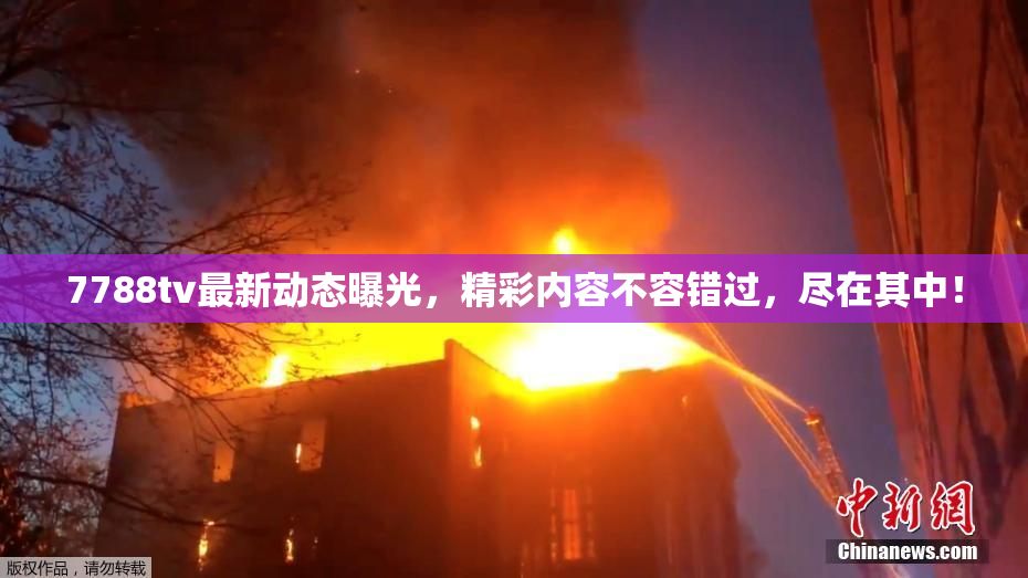 7788tv最新动态曝光，精彩内容不容错过，尽在其中！