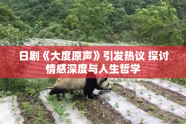 日剧《大度原声》引发热议 探讨情感深度与人生哲学