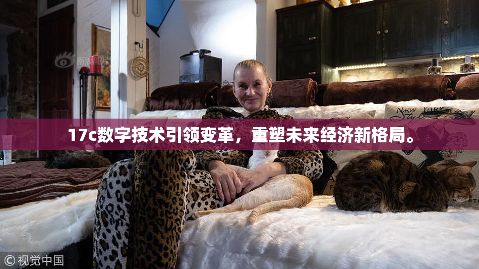 17c数字技术引领变革，重塑未来经济新格局。