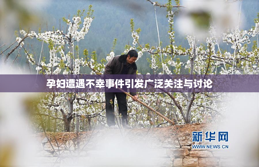 孕妇遭遇不幸事件引发广泛关注与讨论