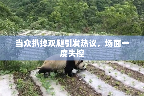 当众扒掉双腿引发热议，场面一度失控