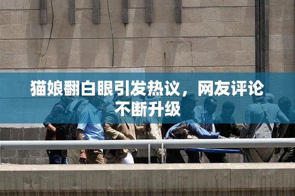 猫娘翻白眼引发热议，网友评论不断升级