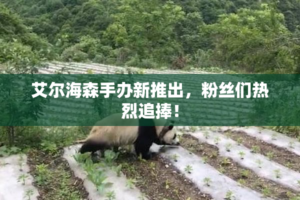 艾尔海森手办新推出，粉丝们热烈追捧！