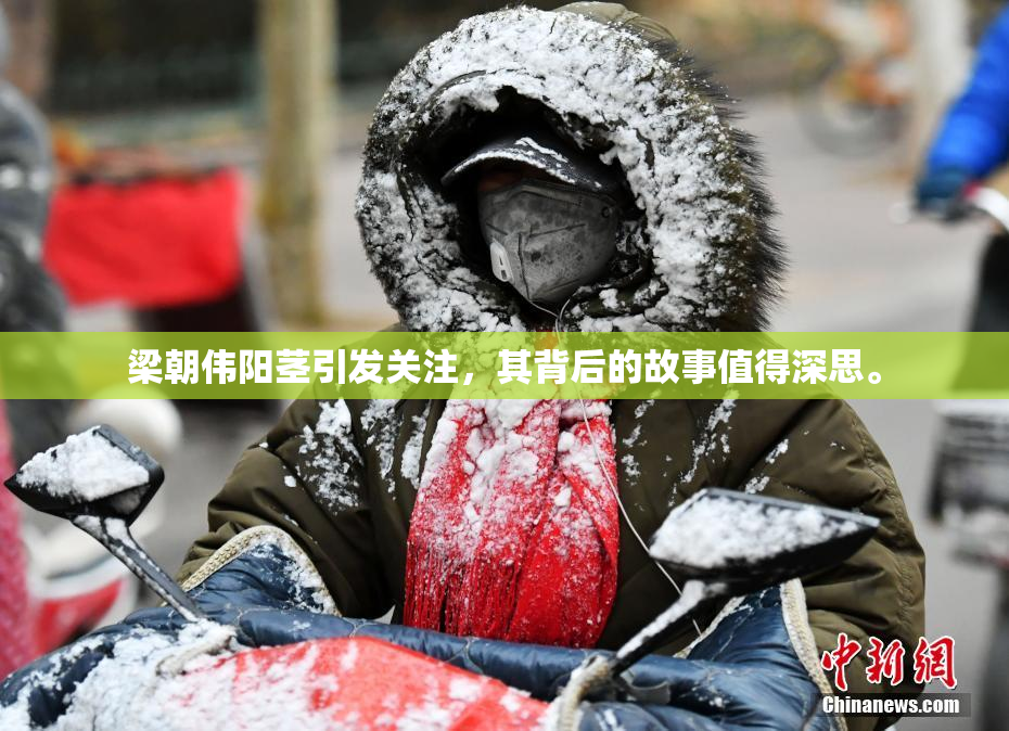 梁朝伟阳茎引发关注，其背后的故事值得深思。
