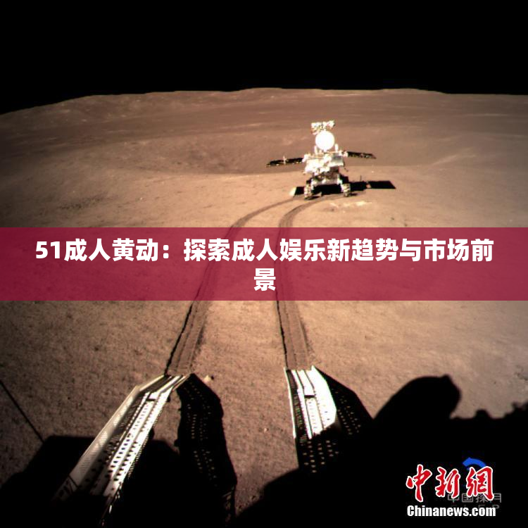 51成人黄动：探索成人娱乐新趋势与市场前景