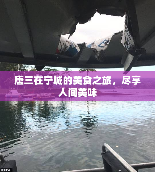唐三在宁城的美食之旅，尽享人间美味