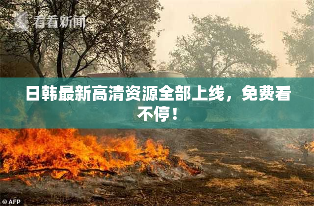 日韩最新高清资源全部上线，免费看不停！