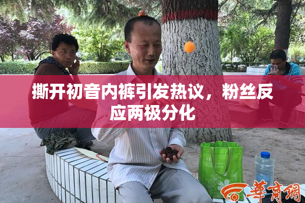 撕开初音内裤引发热议，粉丝反应两极分化
