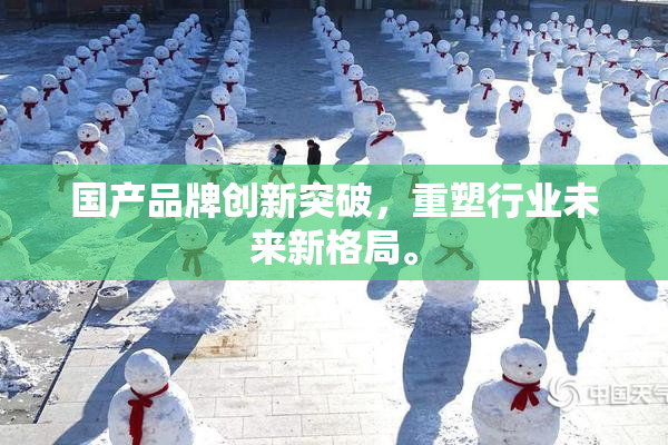 国产品牌创新突破，重塑行业未来新格局。