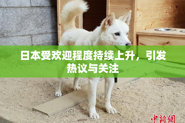 日本受欢迎程度持续上升，引发热议与关注