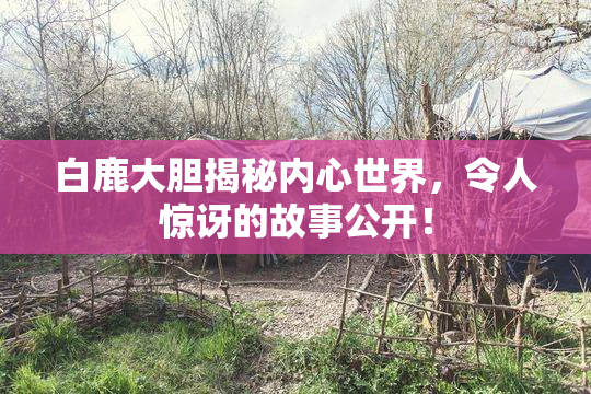 白鹿大胆揭秘内心世界，令人惊讶的故事公开！