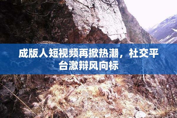成版人短视频再掀热潮，社交平台激辩风向标
