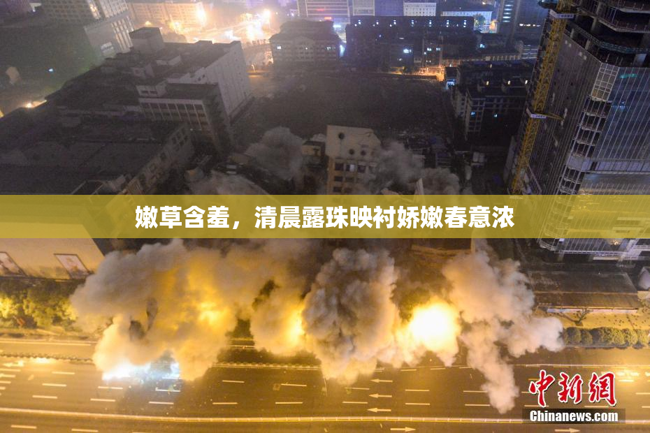 嫩草含羞，清晨露珠映衬娇嫩春意浓