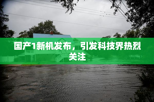 国产1新机发布，引发科技界热烈关注