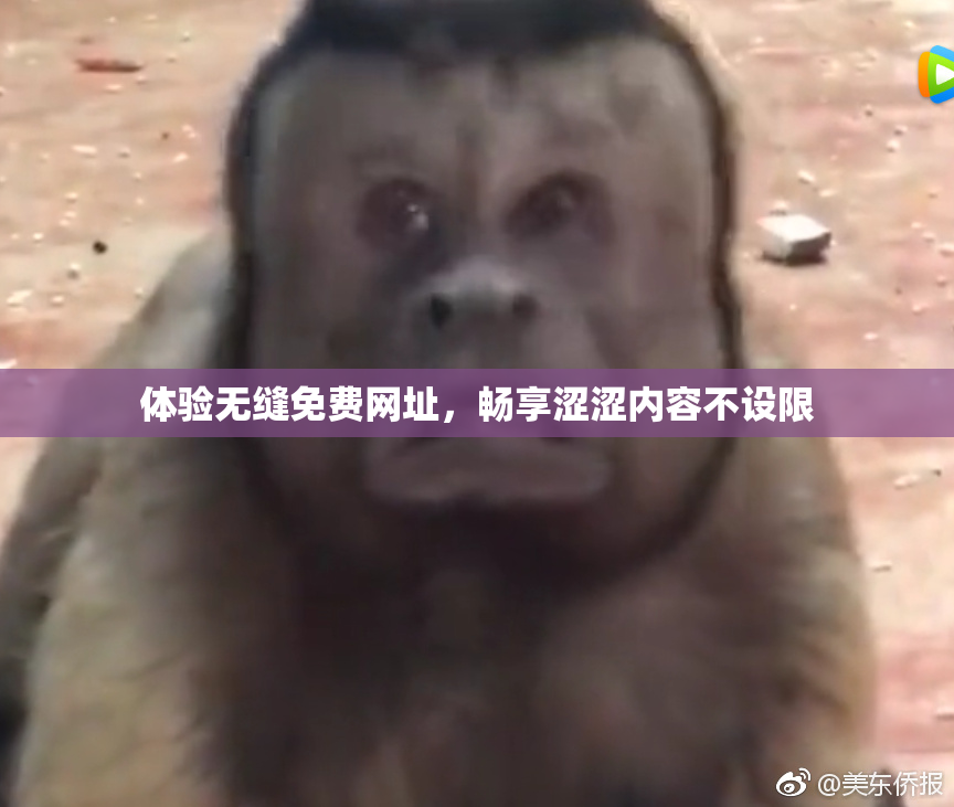 体验无缝免费网址，畅享涩涩内容不设限