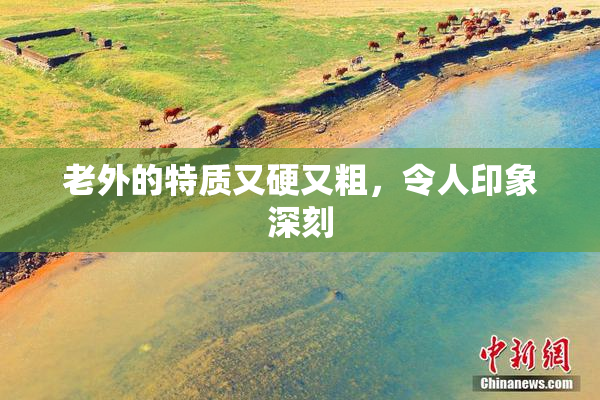老外的特质又硬又粗，令人印象深刻