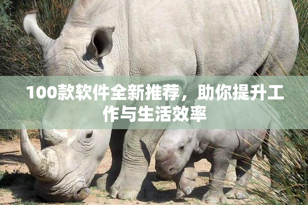 100款软件全新推荐，助你提升工作与生活效率