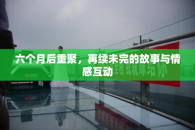 六个月后重聚，再续未完的故事与情感互动